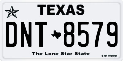 TX license plate DNT8579