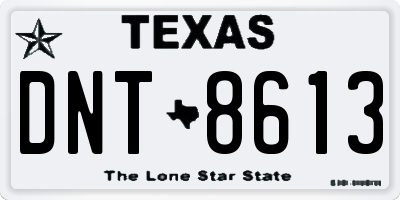 TX license plate DNT8613