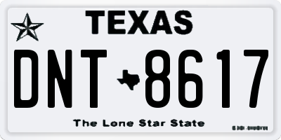 TX license plate DNT8617