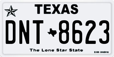 TX license plate DNT8623