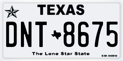 TX license plate DNT8675
