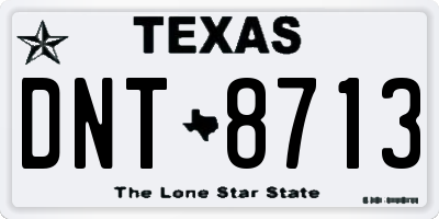 TX license plate DNT8713