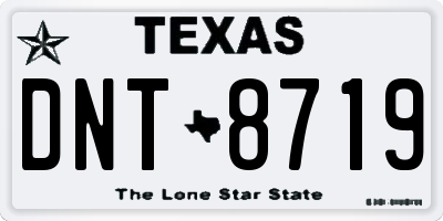TX license plate DNT8719