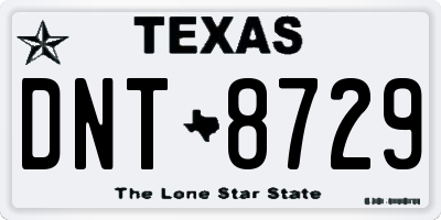 TX license plate DNT8729