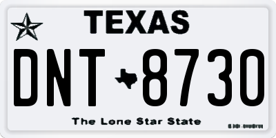 TX license plate DNT8730