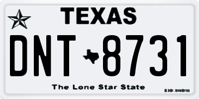 TX license plate DNT8731