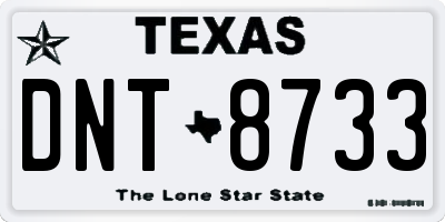 TX license plate DNT8733