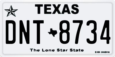 TX license plate DNT8734