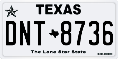 TX license plate DNT8736