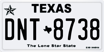 TX license plate DNT8738