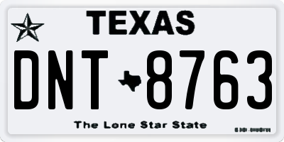 TX license plate DNT8763