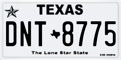 TX license plate DNT8775