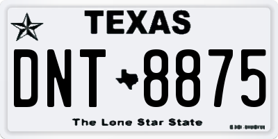 TX license plate DNT8875