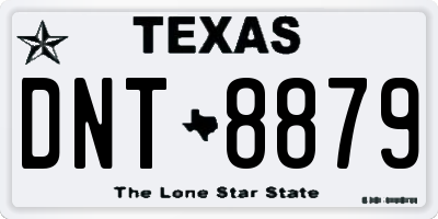 TX license plate DNT8879