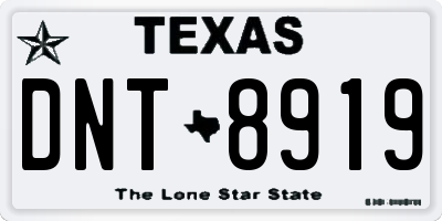 TX license plate DNT8919