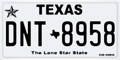 TX license plate DNT8958