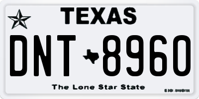 TX license plate DNT8960