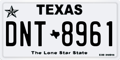 TX license plate DNT8961