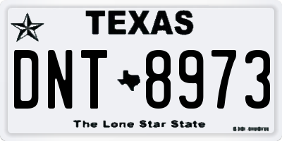 TX license plate DNT8973