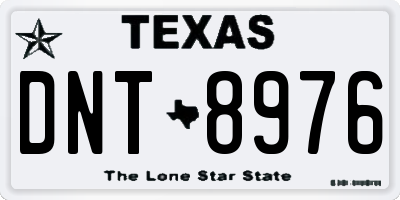 TX license plate DNT8976