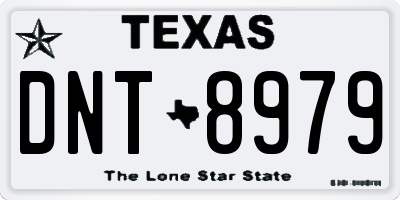 TX license plate DNT8979