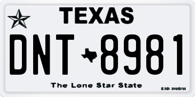 TX license plate DNT8981