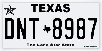 TX license plate DNT8987