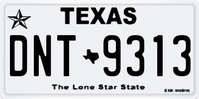 TX license plate DNT9313