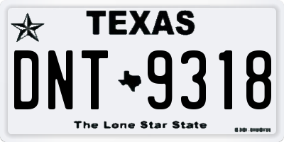 TX license plate DNT9318