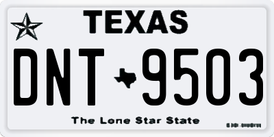TX license plate DNT9503