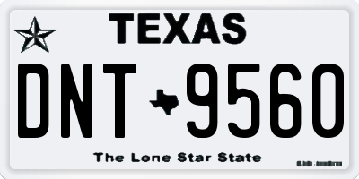 TX license plate DNT9560
