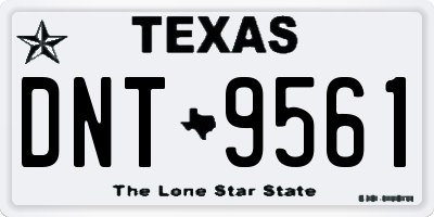 TX license plate DNT9561
