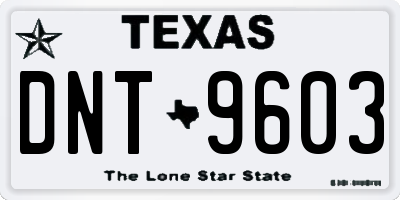 TX license plate DNT9603