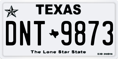 TX license plate DNT9873