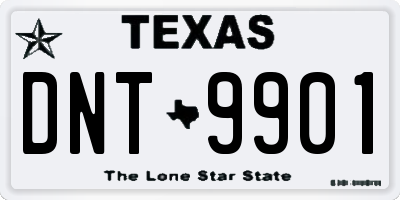 TX license plate DNT9901
