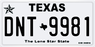 TX license plate DNT9981