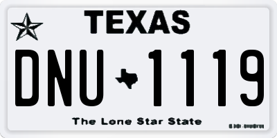 TX license plate DNU1119
