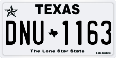 TX license plate DNU1163