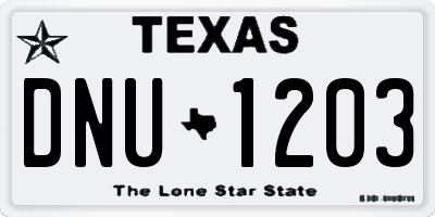 TX license plate DNU1203