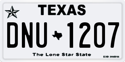 TX license plate DNU1207