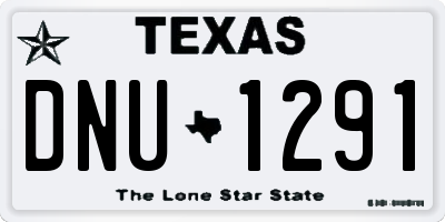 TX license plate DNU1291