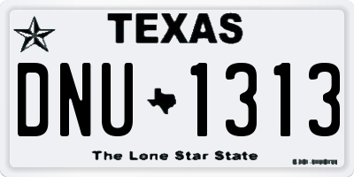 TX license plate DNU1313