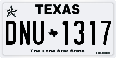 TX license plate DNU1317