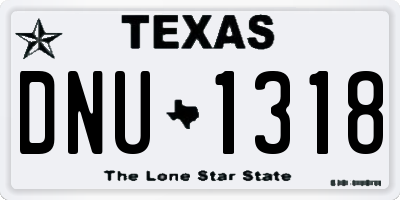 TX license plate DNU1318
