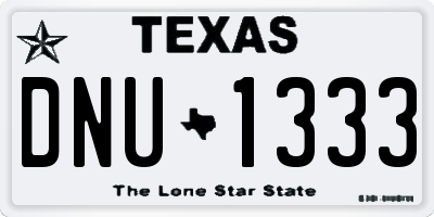 TX license plate DNU1333
