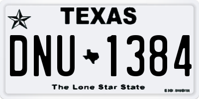 TX license plate DNU1384