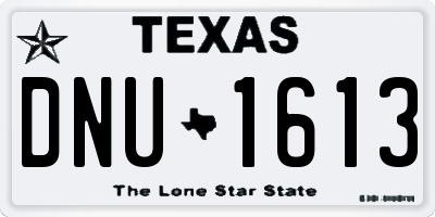 TX license plate DNU1613