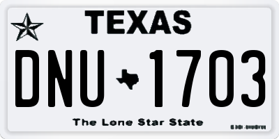 TX license plate DNU1703