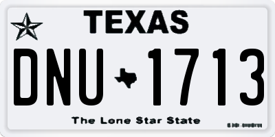 TX license plate DNU1713
