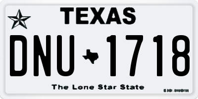TX license plate DNU1718